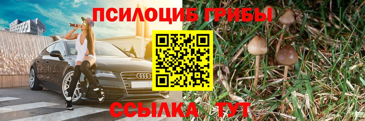 Псилоцибиновые грибы GOLDEN TEACHER Серов