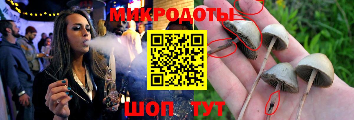 Серов  Галлюциногенные грибы MAGIC MUSHROOMS  даркнет сайт  Вход с VPN  Псилоцибиновые грибы мицелий 